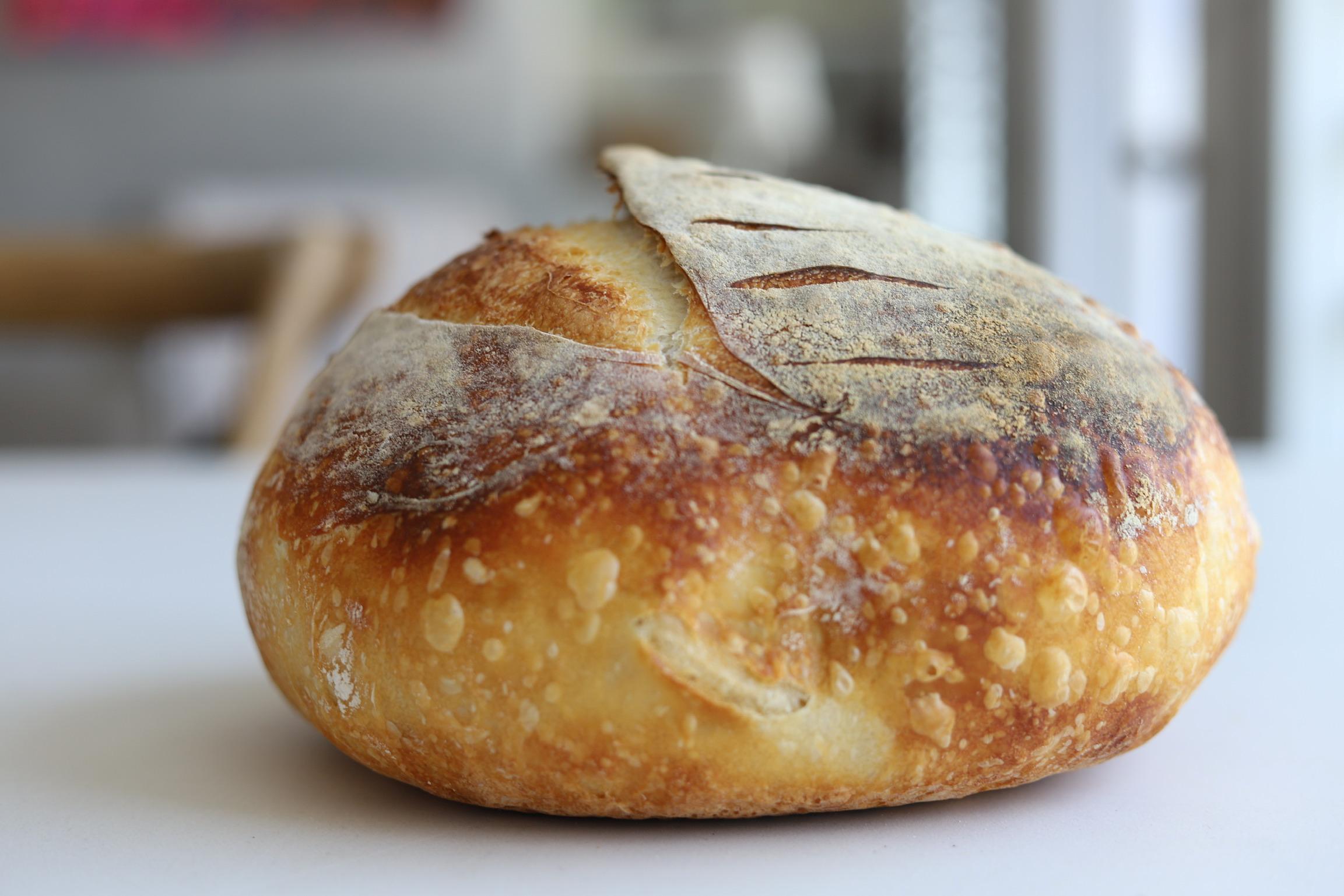 crusty-dutch-oven-bread-recipe
