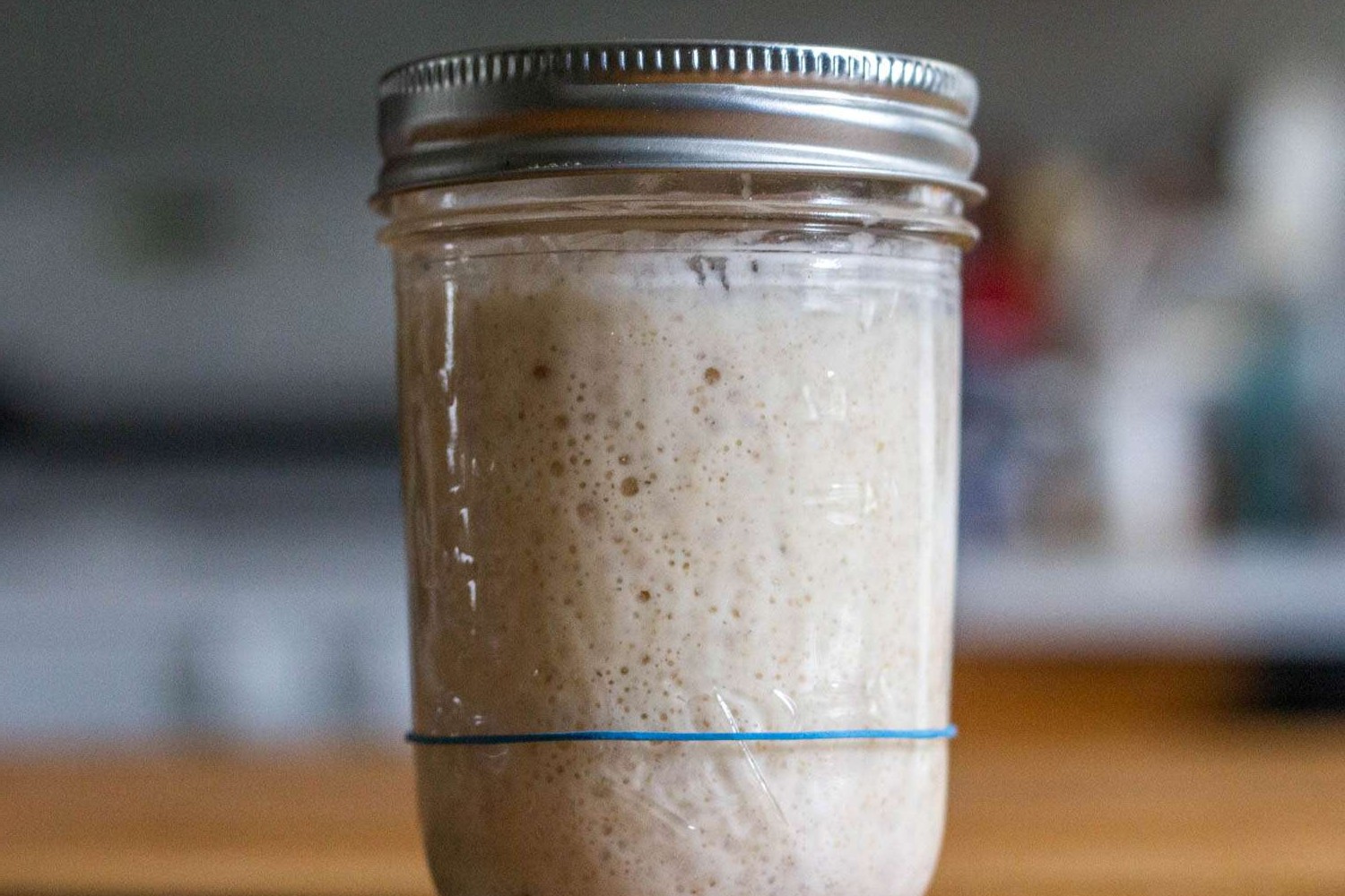 sourdough-starter-recipe